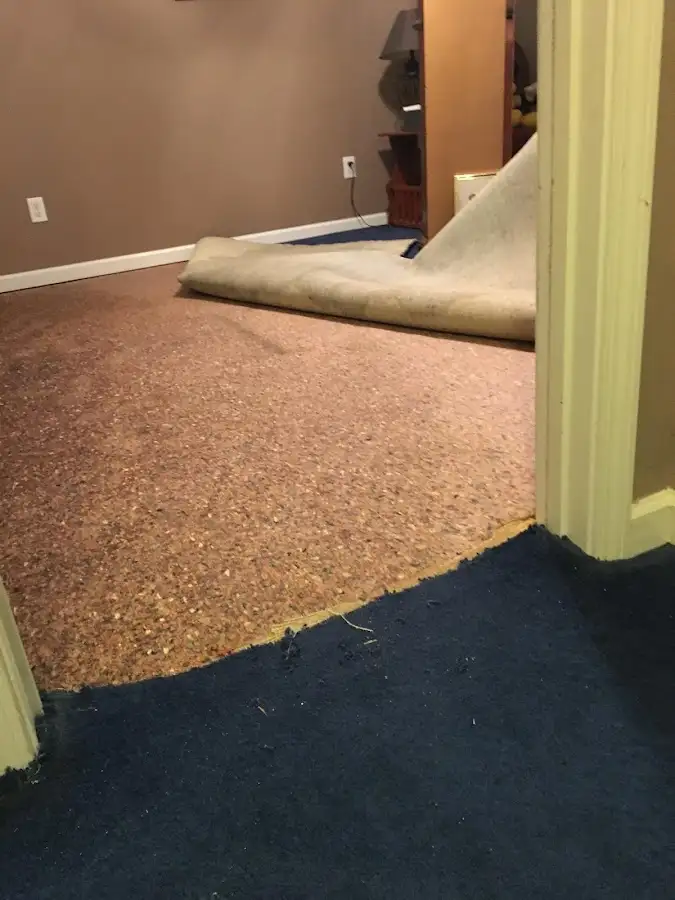 Carpet pad removal revealing water damage during Water Mitigation Services in Mercedes