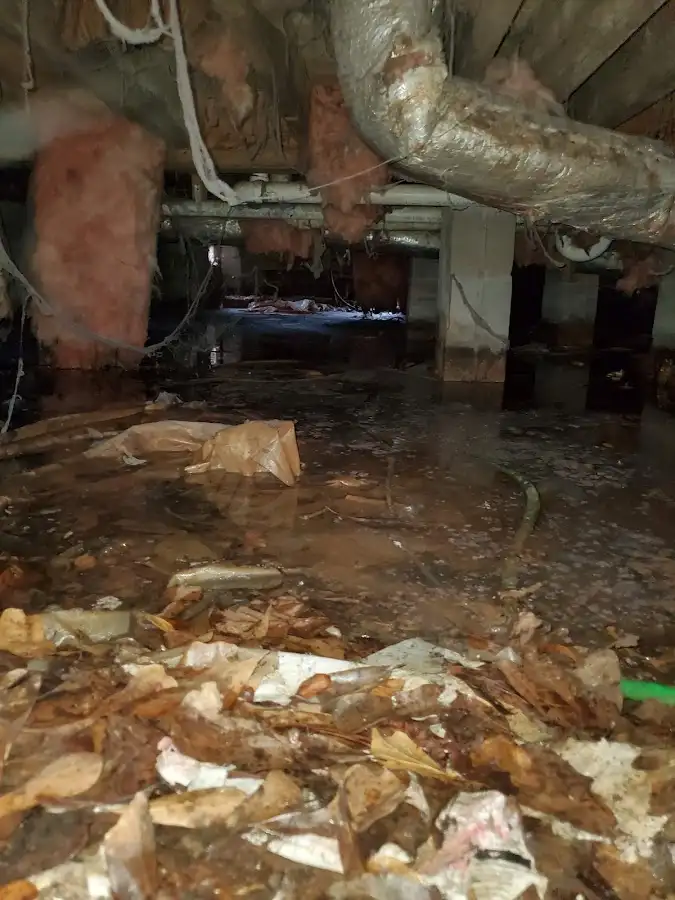 Crawl space flood assessment for Commercial Water Damage Restoration in Mercedes
